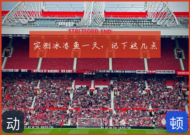 实测冰冻鱼一天，记下这几点